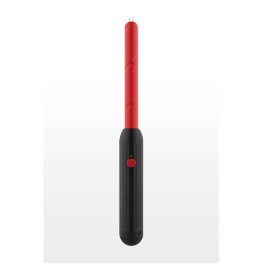 Cravache électrique Prick Stick - Taboom 2