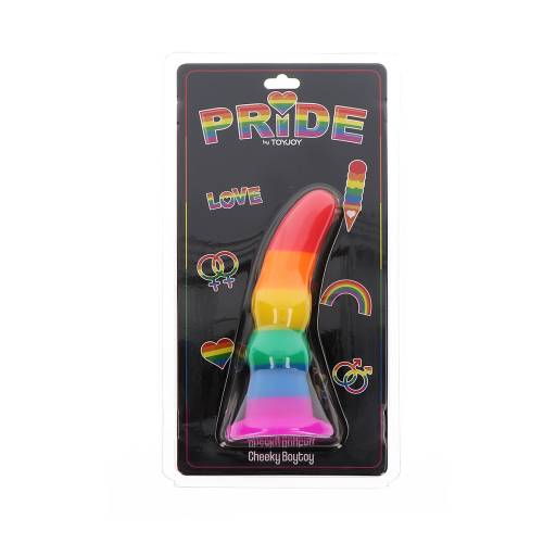 Plug arc en ciel Cheeky Boytoy - ToyJoy 2