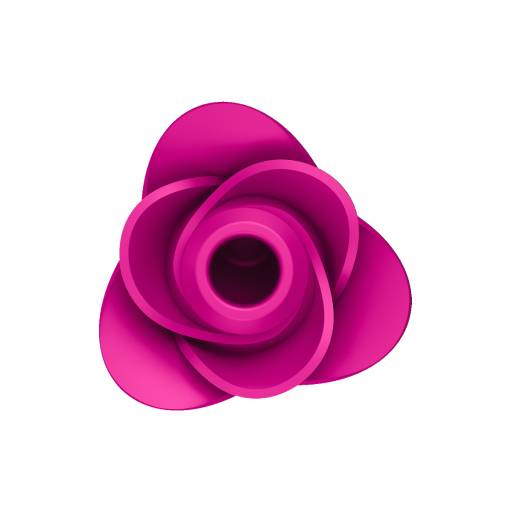Stimulateur clitoridien Satisfyer Pro 2 Modern Blossom 2