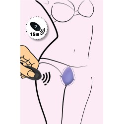 Stimulateur télécommandé Panty Vibe noir - FeelzToys 2