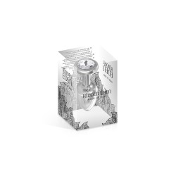 Plug bijou acier XS - Hidden Eden 2