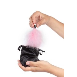 Kit poudre comestible vin pétillant à la fraise et plumeau 2