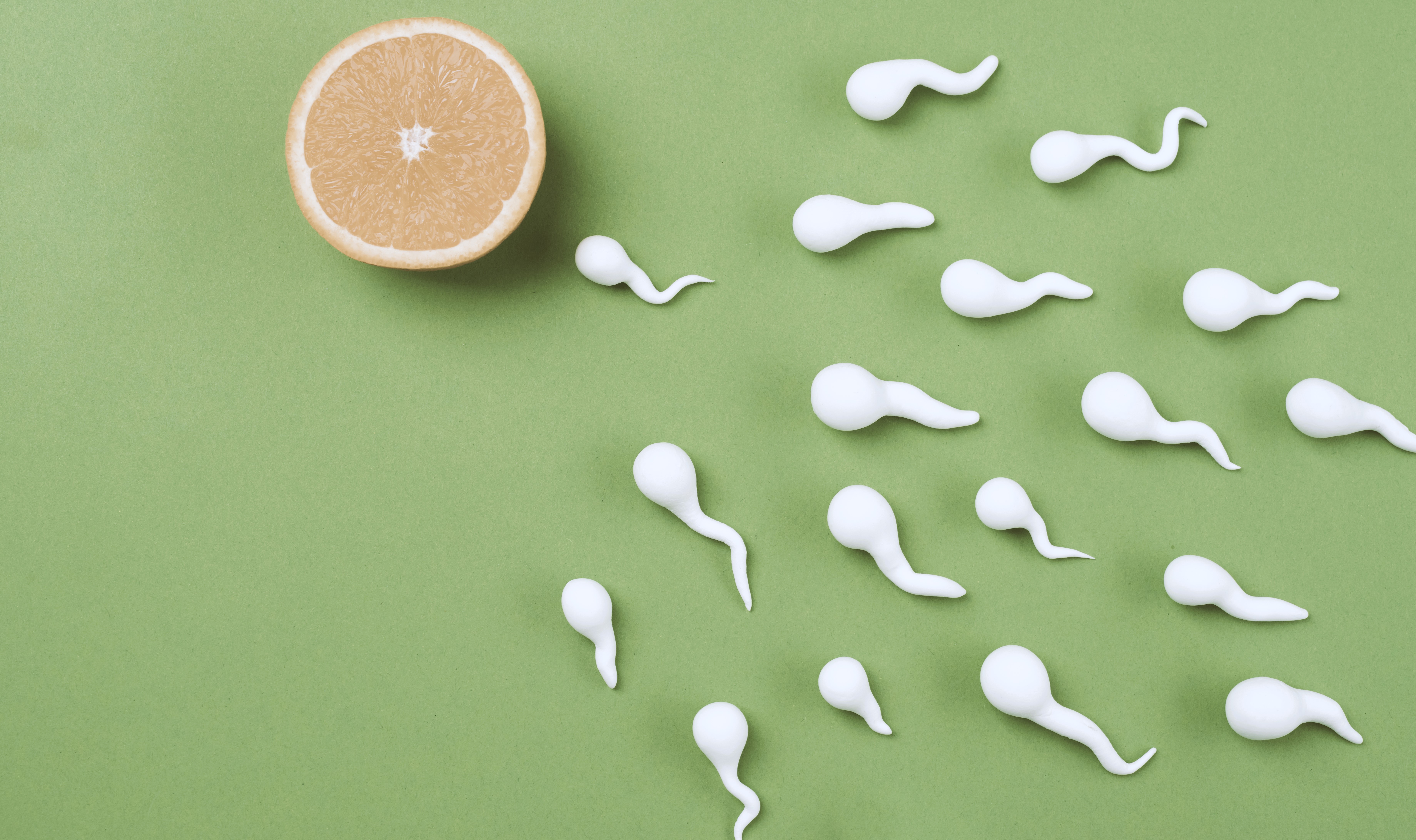 Fertilité et alimentation